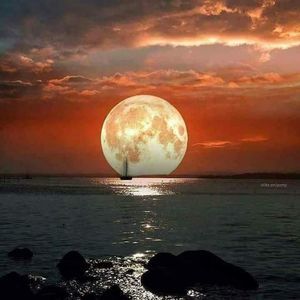 Meet your Posher, Binyamin